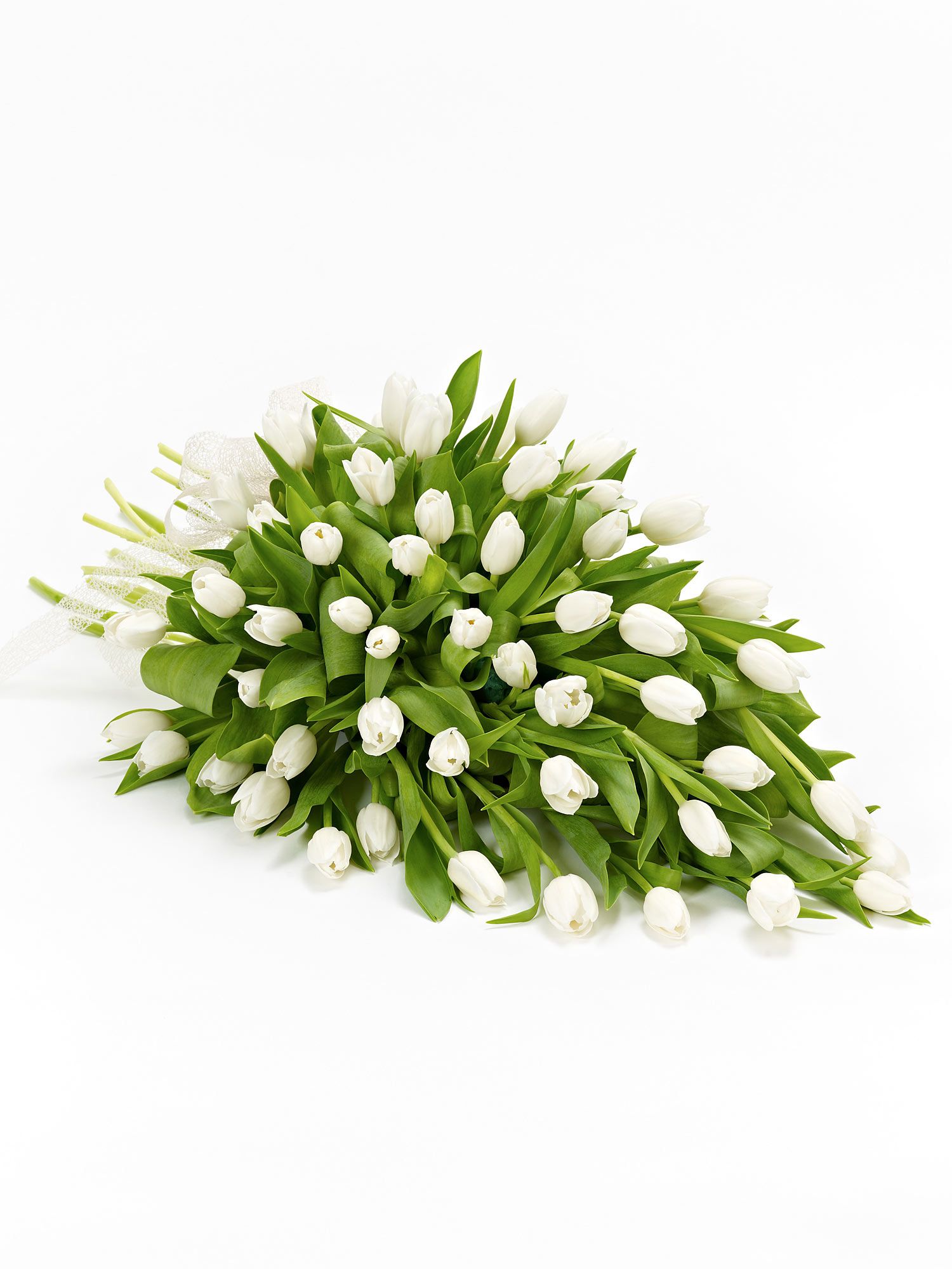 TULIP POSY