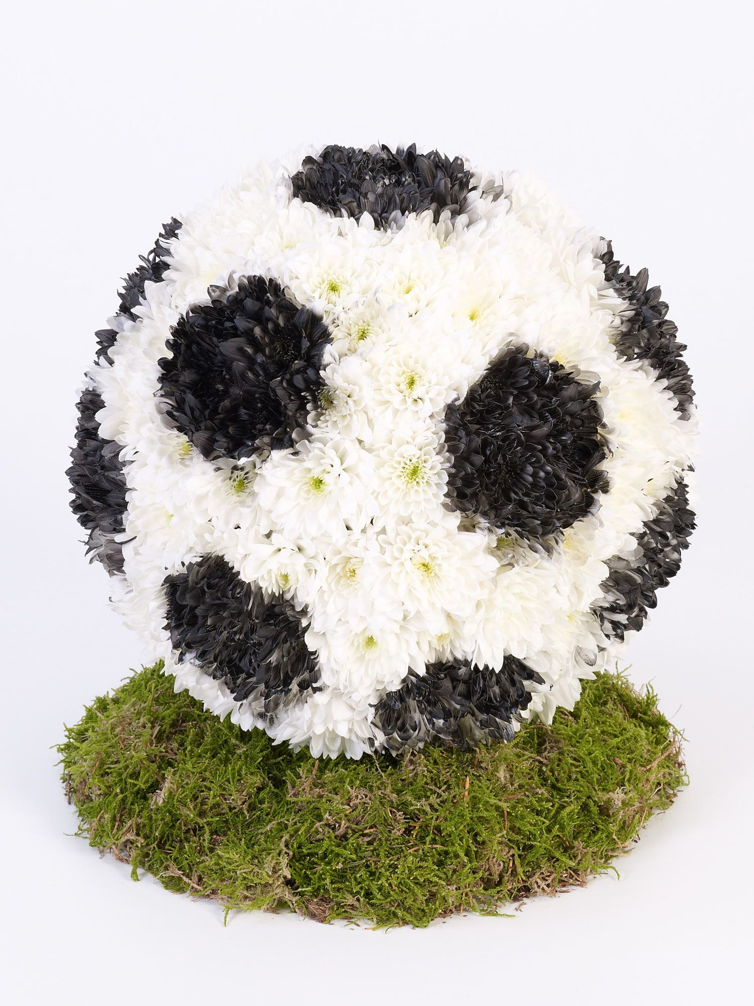 FOOTBALL TRIBUTE